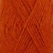 Nepal - 2920 - orange.jpg